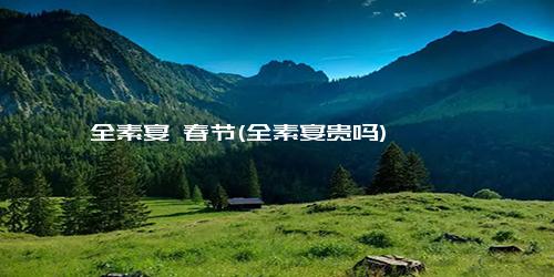 全素宴 春节(全素宴贵吗)